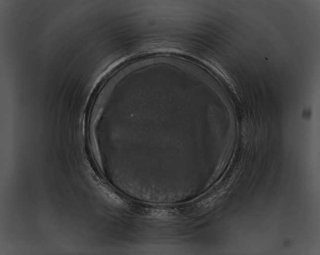 X0000091180790200708301215