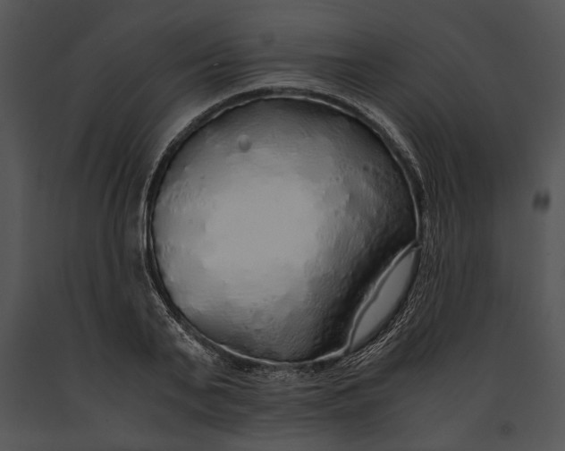 X0000091180791200708301215