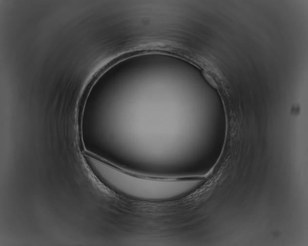 X0000091180792200708301215