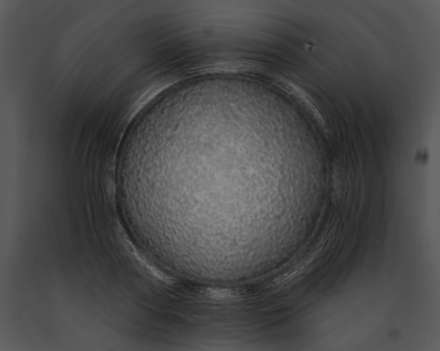 X0000091180794200708301215