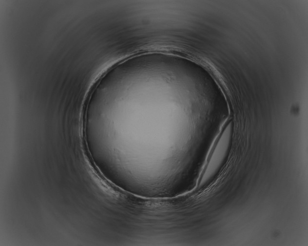 X0000091180795200708301215