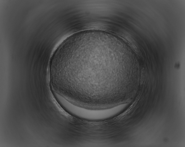 X0000091180796200708301215