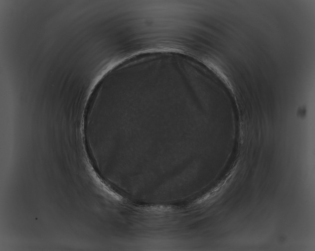 X0000091180797200708301215