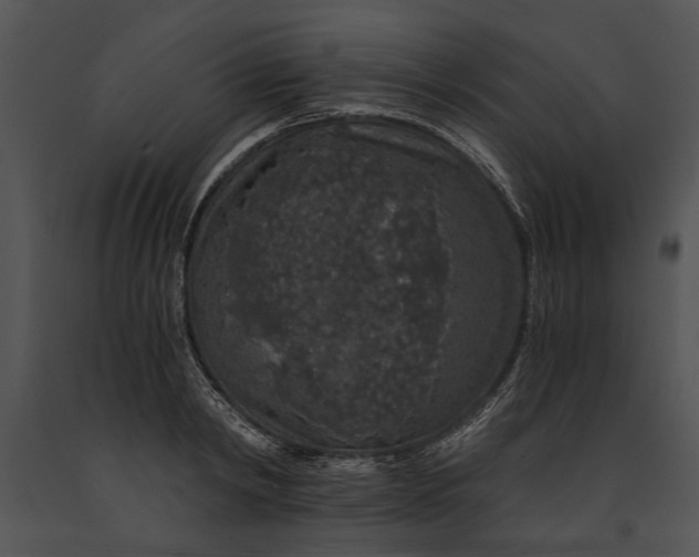 X0000091180798200708301215