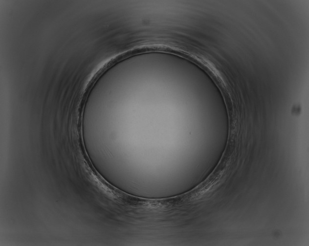 X0000091180799200708301215