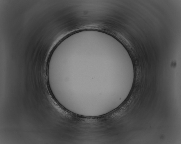 X0000091180800200708301215