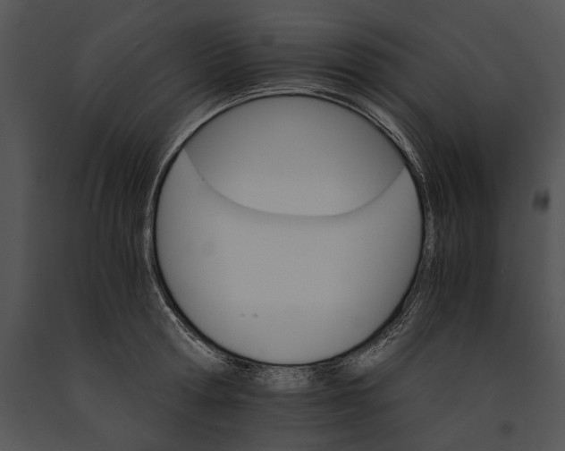 X0000091180802200708301215