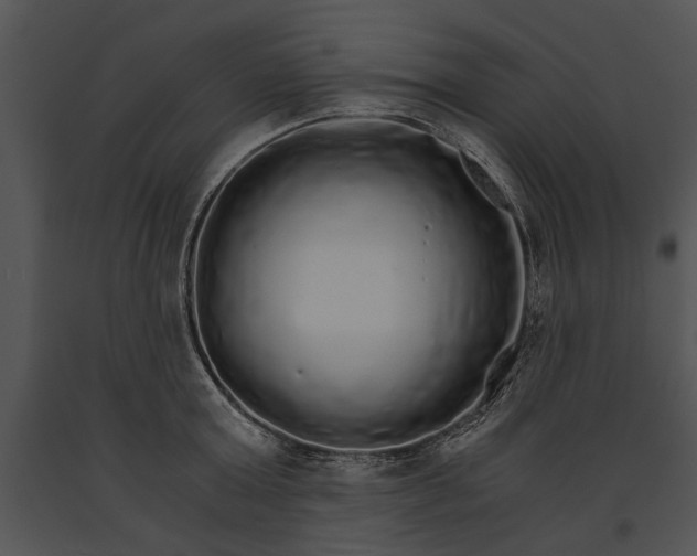 X0000091180803200708301215