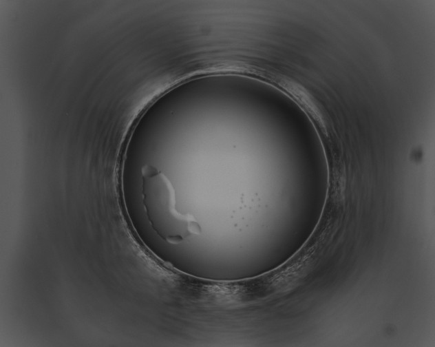 X0000091180805200708301215