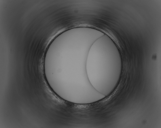 X0000091180806200708301215