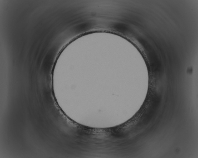 X0000091180807200708301215