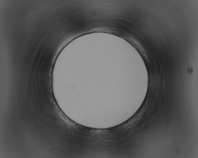 X0000091180808200708301215