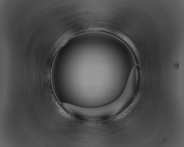 X0000091180809200708301215