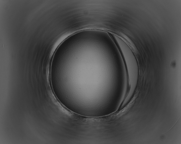 X0000091180812200708301215