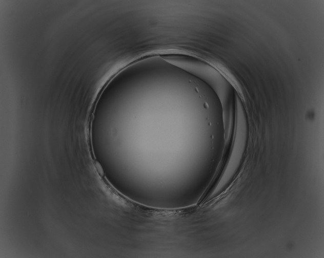 X0000091180813200708301215