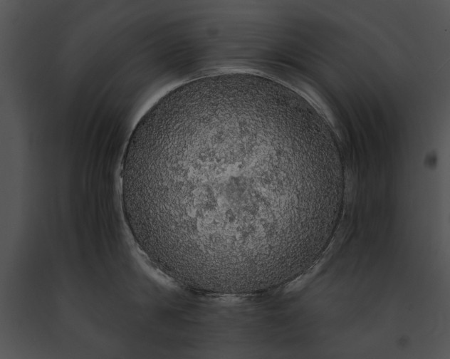 X0000091180814200708301215