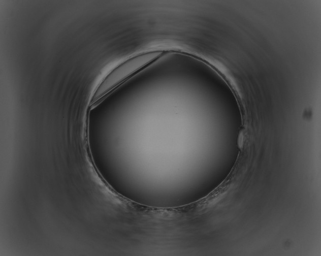 X0000091180815200708301215