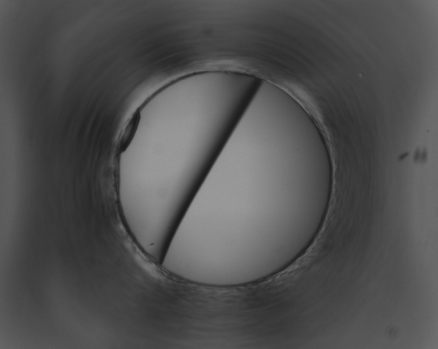 X0000091180816200708301215