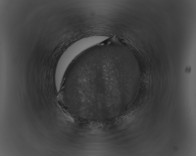 X0000091180818200708301214