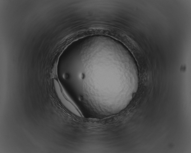 X0000091180821200708301214