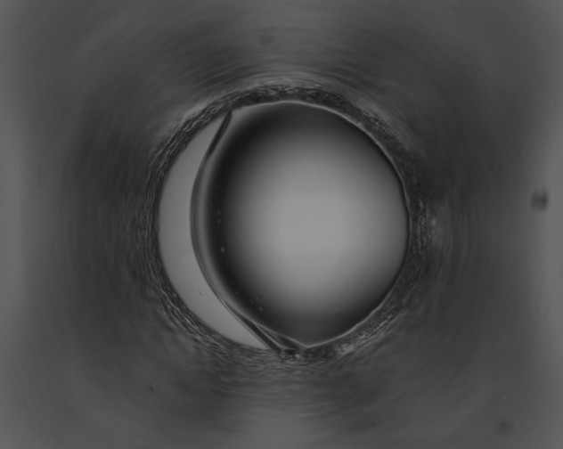 X0000091180822200708301215