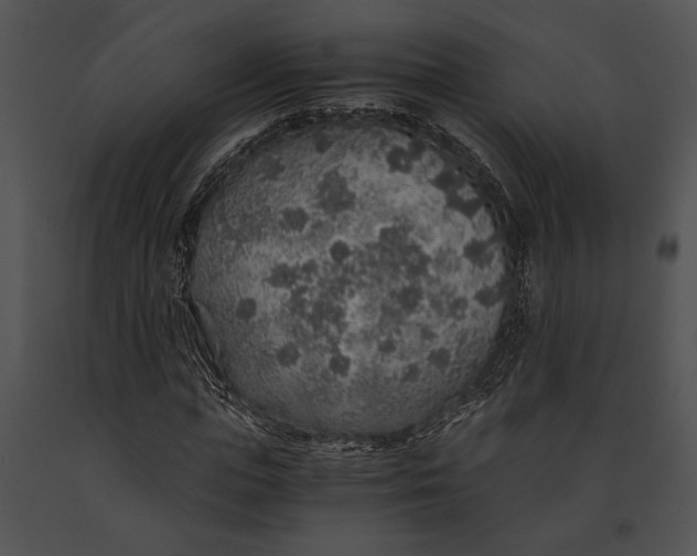 X0000091180823200708301215