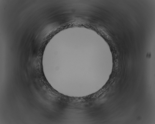 X0000091180824200708301215