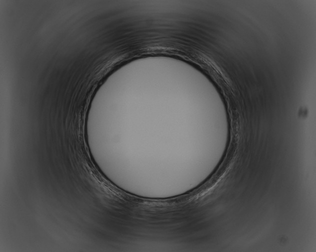 X0000091180825200708301215