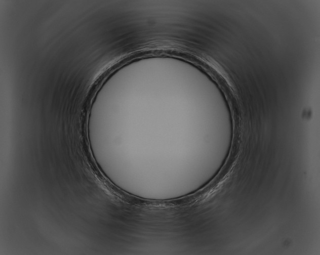 X0000091180826200708301215