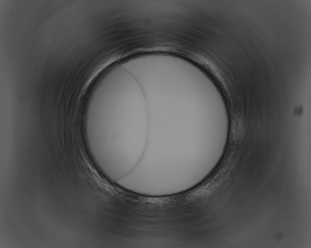 X0000091180827200708301215