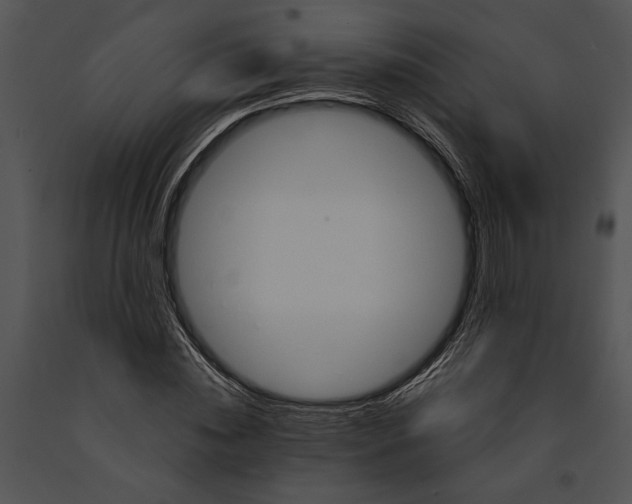 X0000091180828200708301215