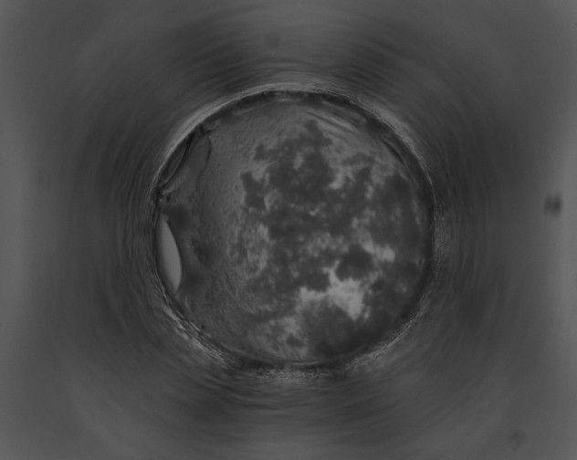 X0000091180829200708301215