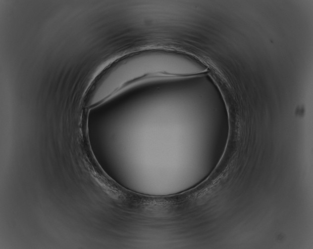 X0000091180830200708301215