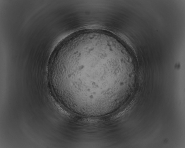 X0000091180831200708301215