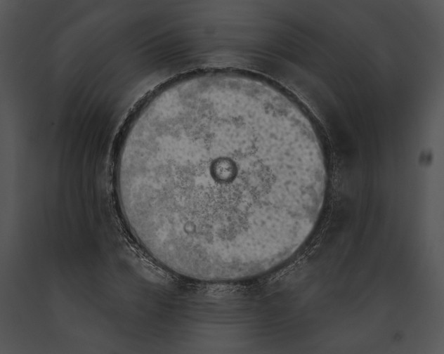 X0000091180832200708301215