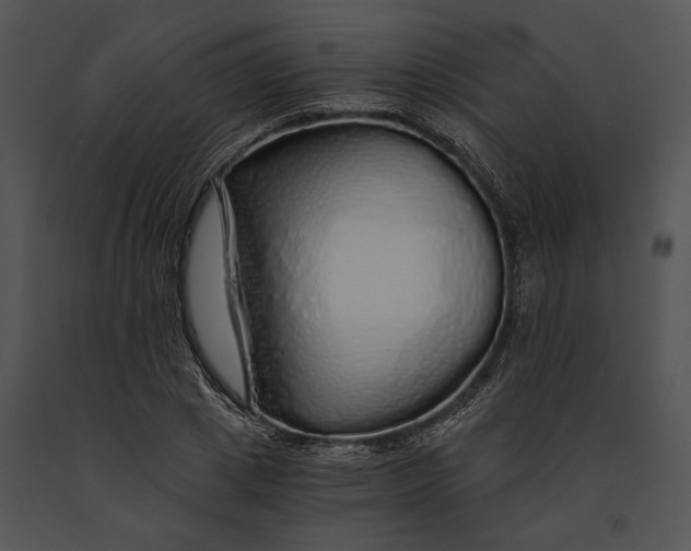 X0000091180833200708301215