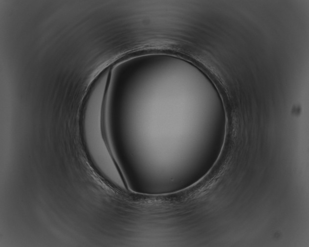 X0000091180834200708301215