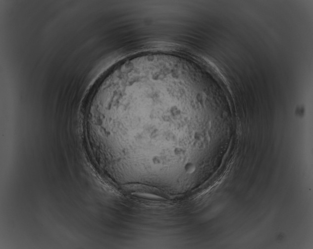 X0000091180835200708301215