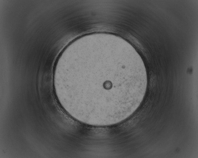 X0000091180836200708301215