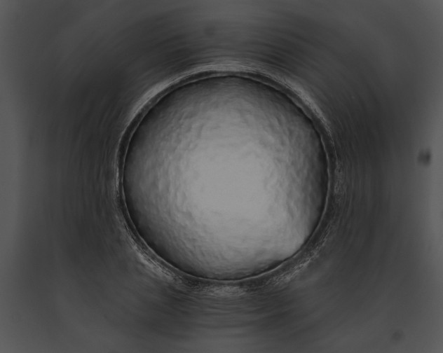 X0000091180837200708301215