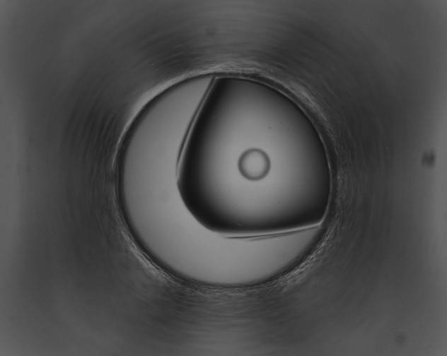 X0000091180838200708301215