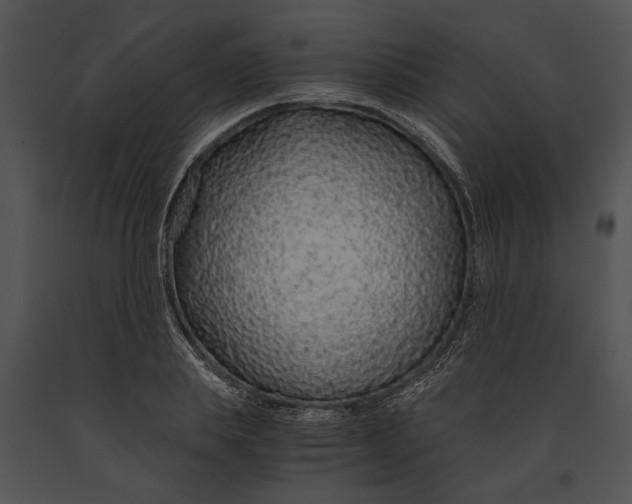 X0000091180839200708301215