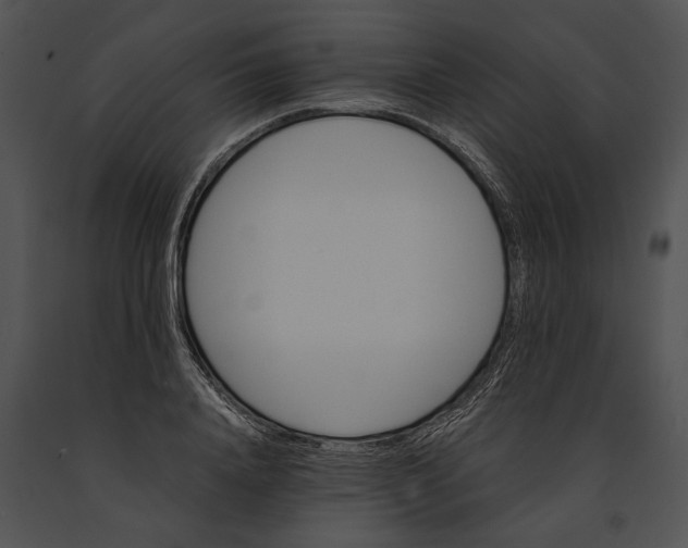 X0000091180840200708301215