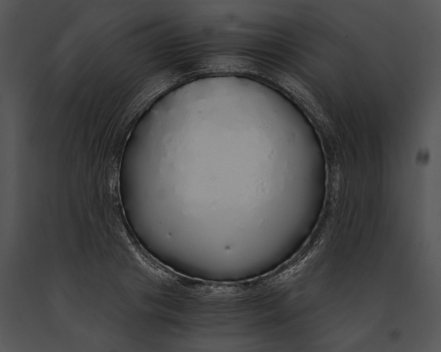 X0000091180841200708301215