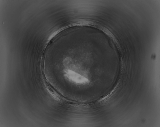 X0000091180842200708301215