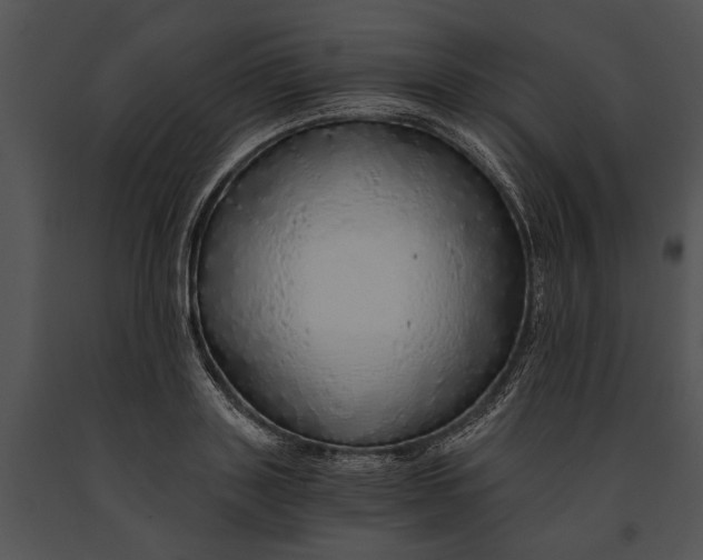 X0000091180843200708301215