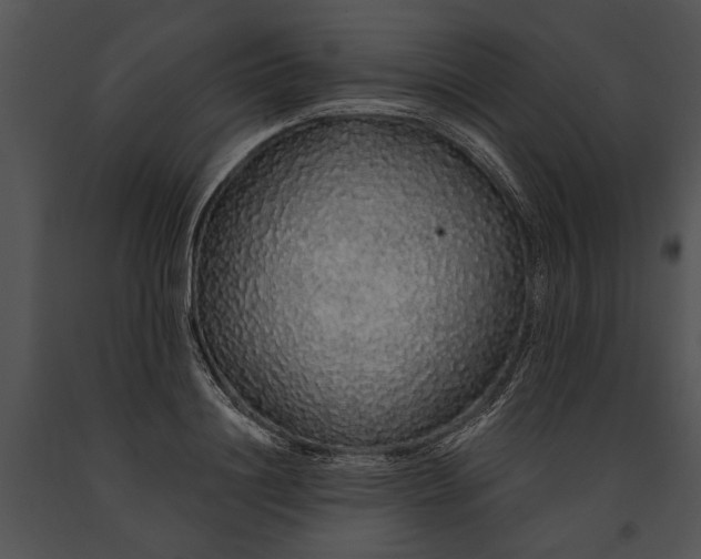 X0000091180844200708301215