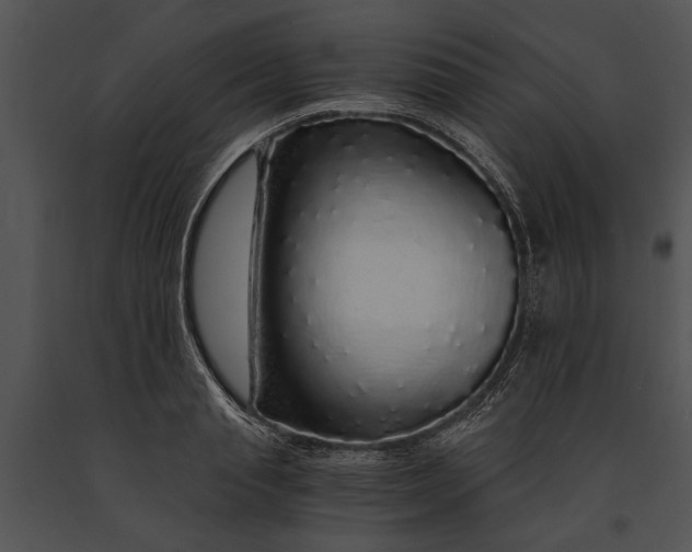 X0000091180845200708301215