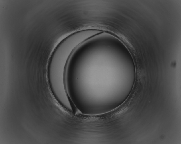 X0000091180846200708301215