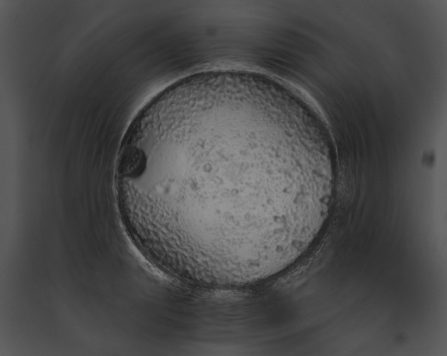 X0000091180847200708301215